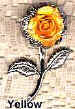 yellow.jpg (5495 bytes)